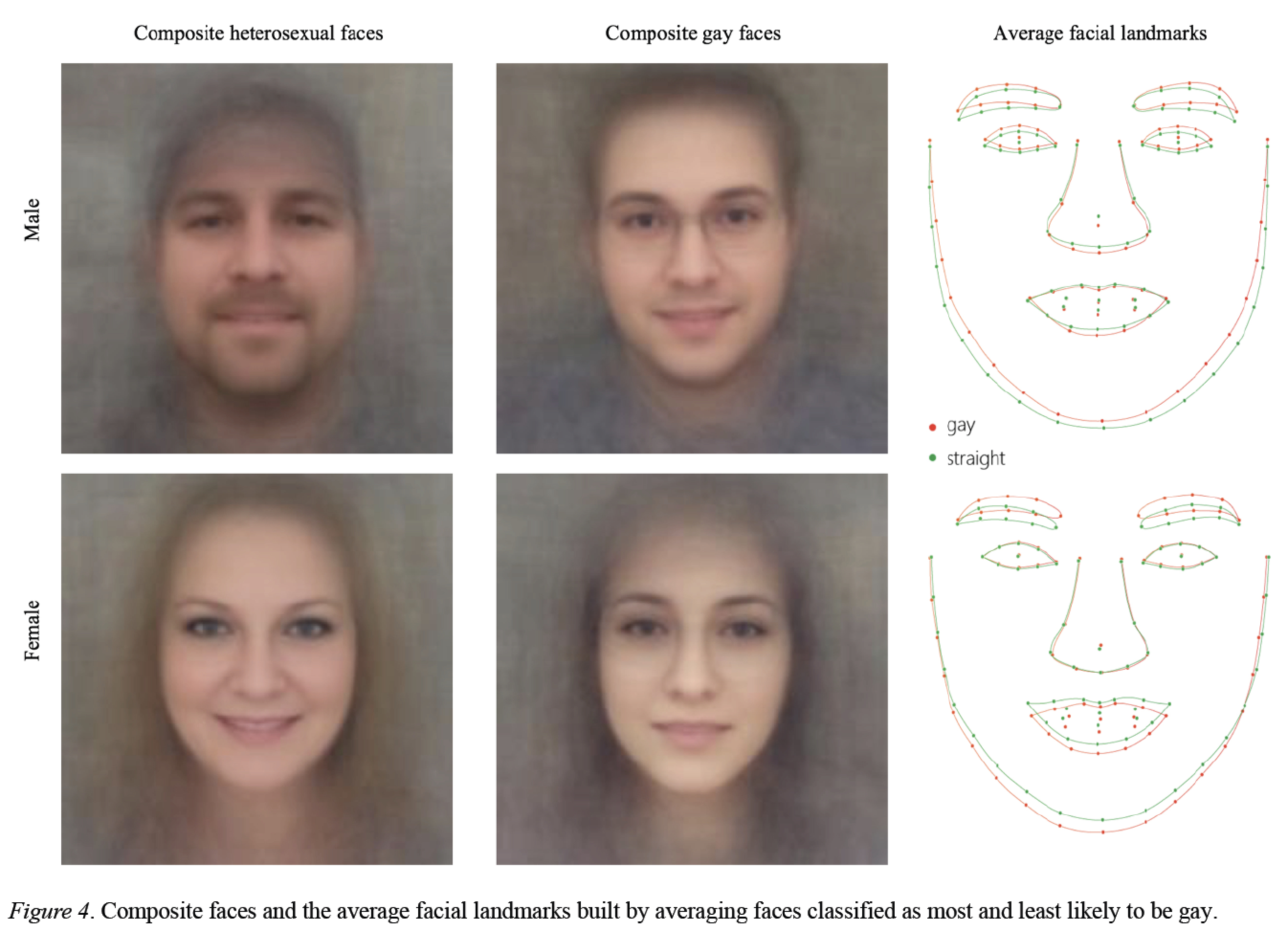 Composite faces for homosexual and heterosexual women and men, from Wang and Kosinski (2017)